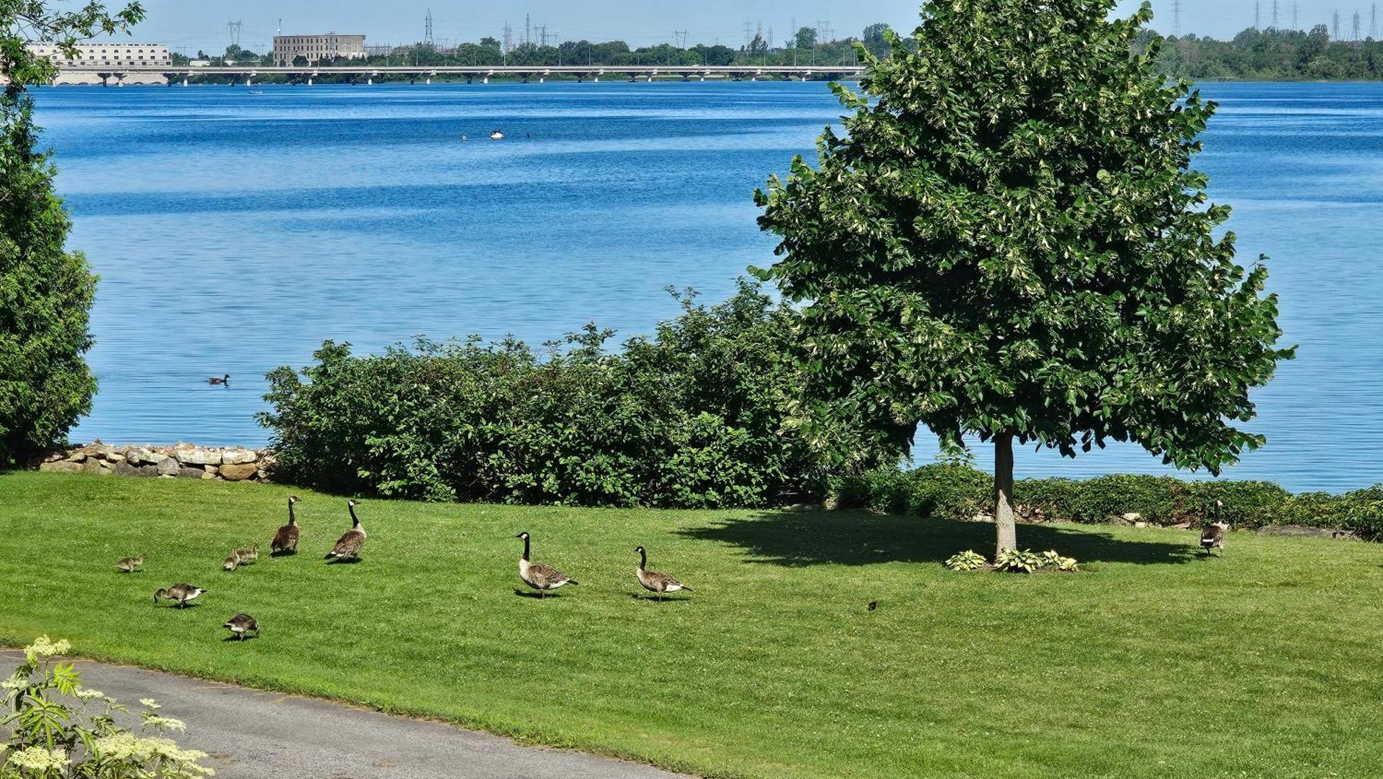 Hotel Oasis Lac St-Louis Salaberry-de-Valleyfield Dış mekan fotoğraf